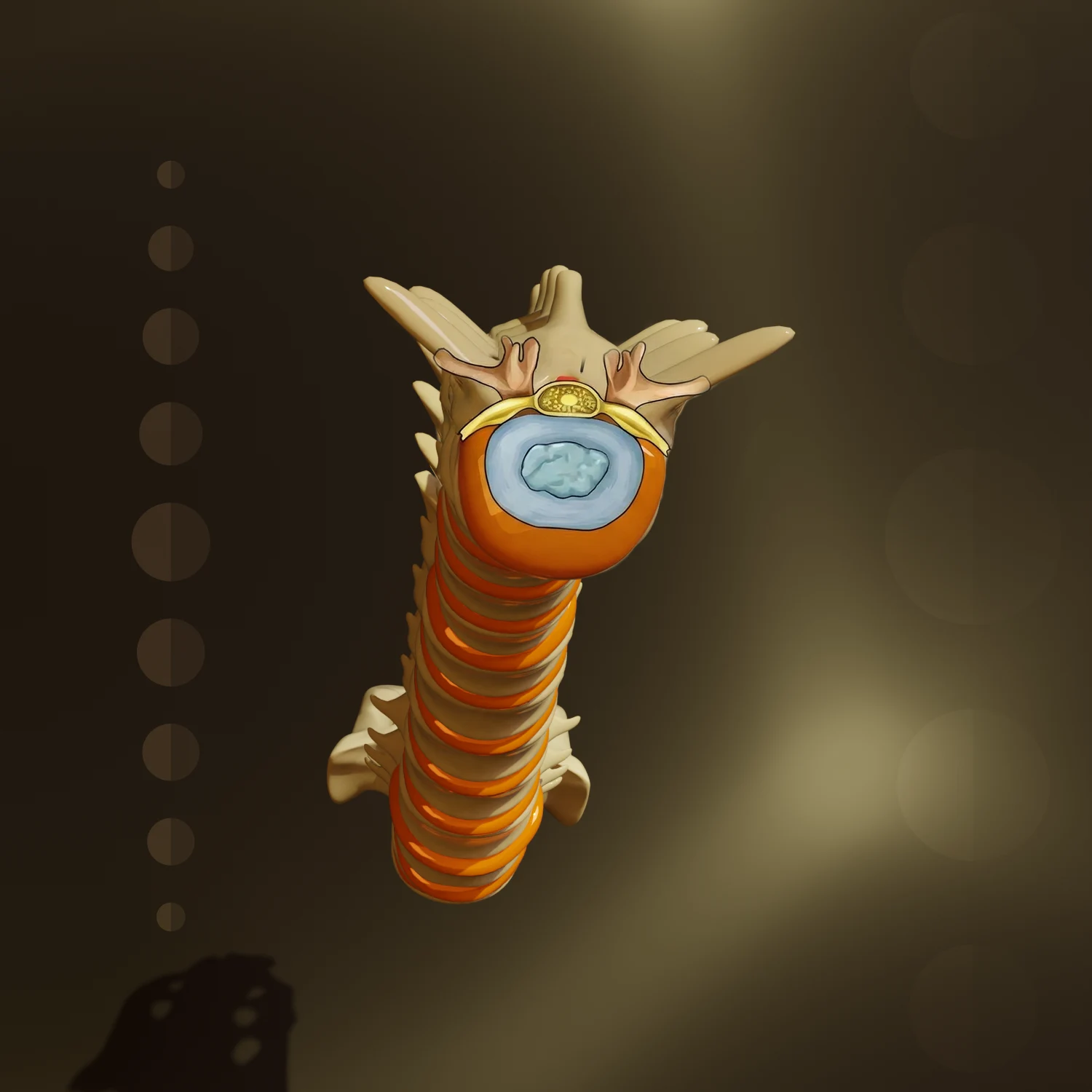 Ilustração de descompressão neural da coluna