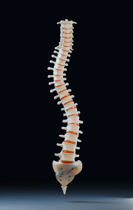 Simulação de uma coluna com curvatura lateral e discos laranja